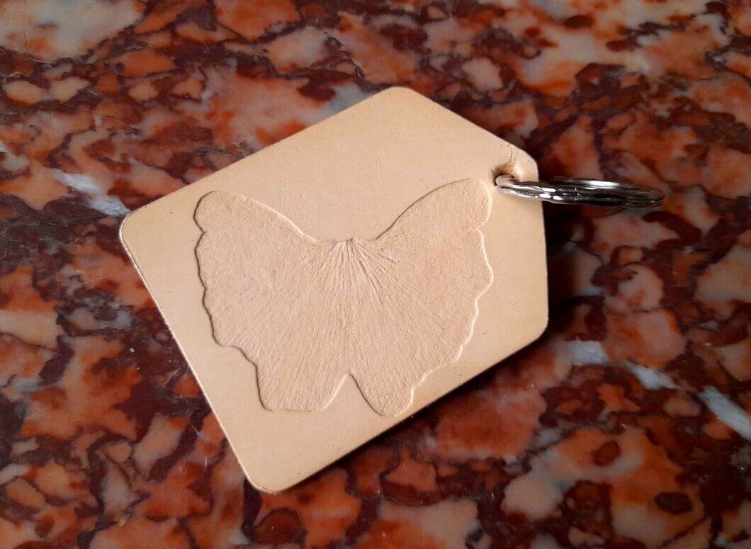 nervures limbe pétiole feuille composée dentée lobée